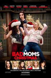 Bad Moms Christmas 2017