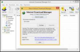 Internet Download Manager IDM 6